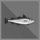 100 kg Pollock