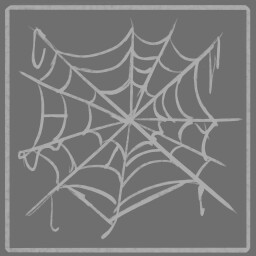 Spider Whisperer