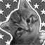Kitten, Around