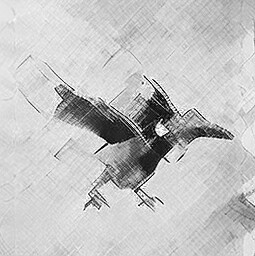 Disturbing the bird