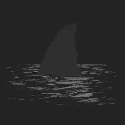 Get killed by a shark