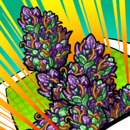 Purple Durple
