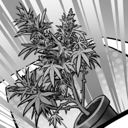 Super Duper Chronic