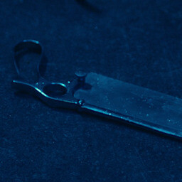 The Saw