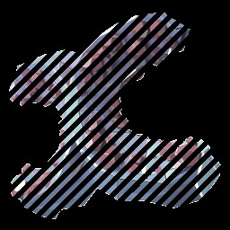 Hexapoda