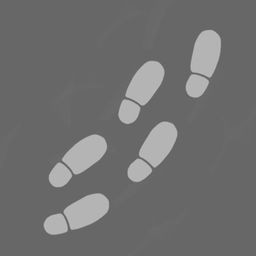 Walking Sim