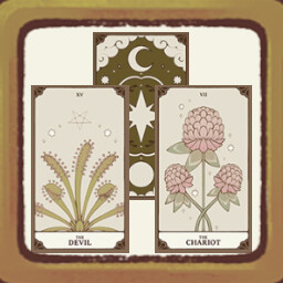 First Tarot Reading