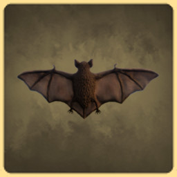Bat