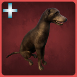 Wolfhound