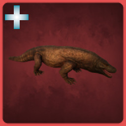 Komodo Dragon