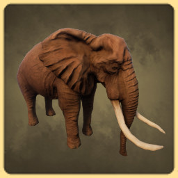 African Elephant