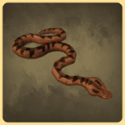 Snake