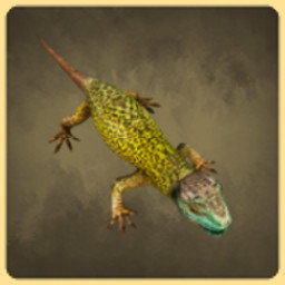 Lizard