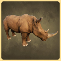 Rhino