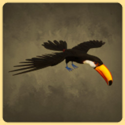 Tucano