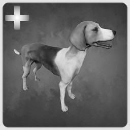 Hellenic Hound