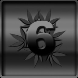 Prestige 6