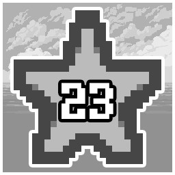 Level 23
