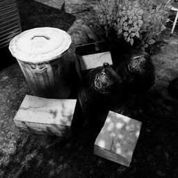 PIKITUP