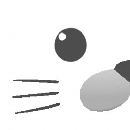 Seal Bay