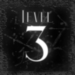Level 3