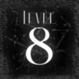 Level 8
