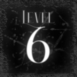 Level 6