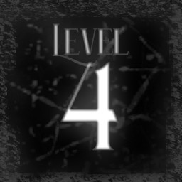 Level 4
