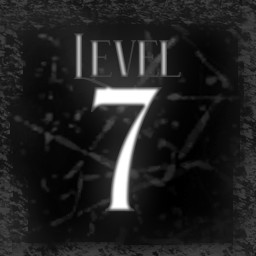 Level 7