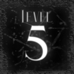 Level 5