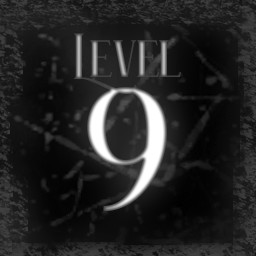Level 9
