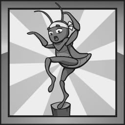 Young Grasshopper
