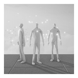 GOLDY STAR: COMPETITION