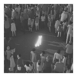 WHO'S A GOOD BOY?