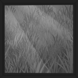 Green grass