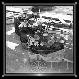 Midgar Full of Flowers