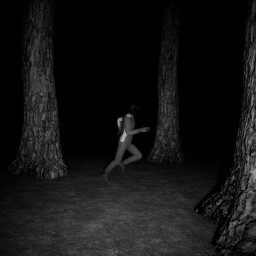 Just a Leisurely Stroll Through the Forest