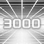 3000