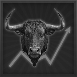 Bull Market