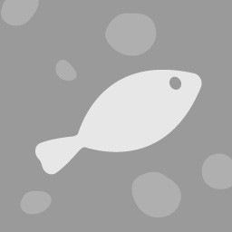 Gone Fishing