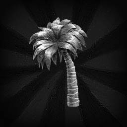 Clear the desert
