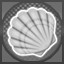 Don't forget your swim fins! 
