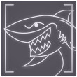 Shooting Shark