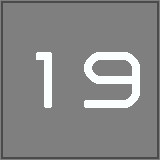 Level 19