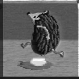 The Hedgehog