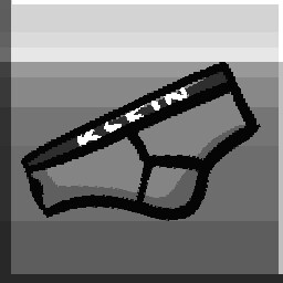 Underpants