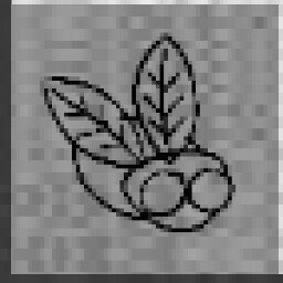 Brundlefly