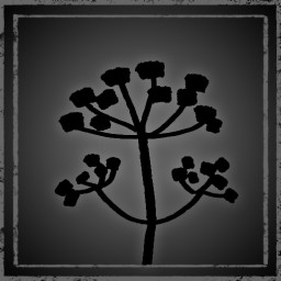 Herbalist