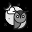 Night Owl