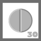 Level 30